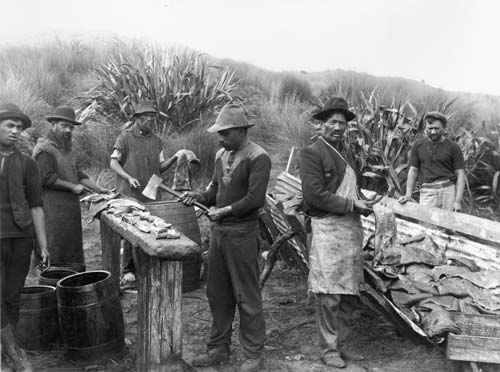 Preparation of blubber 