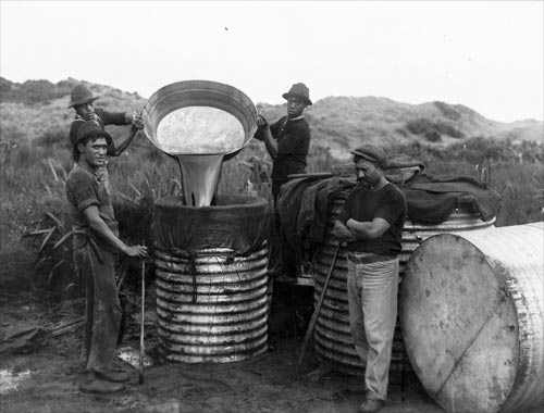 Collecting whale oil 