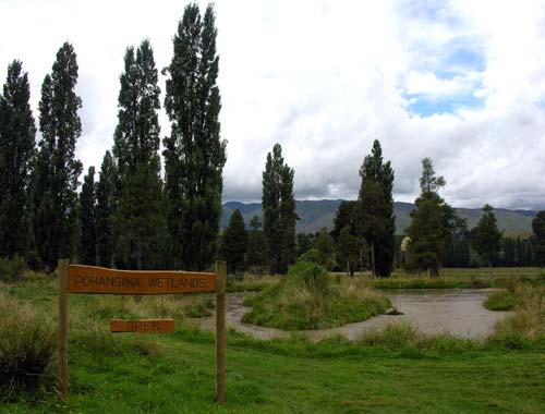 Pohangina wetlands