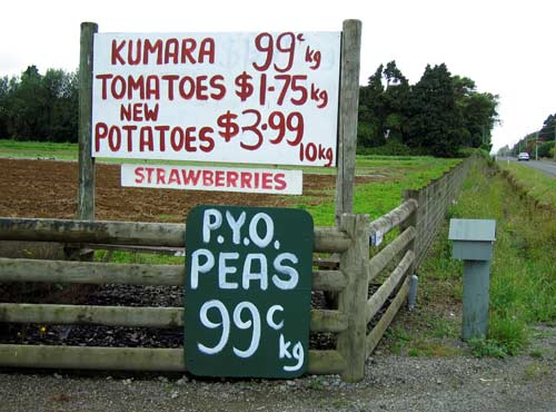 Horowhenua produce