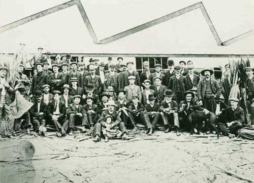 Flax workers