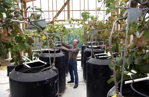 Horticultural research centre, Palmerston North