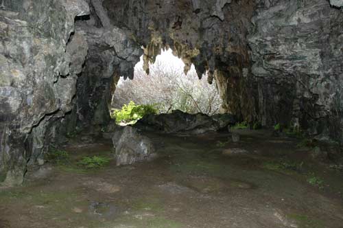 Maniapoto’s cave