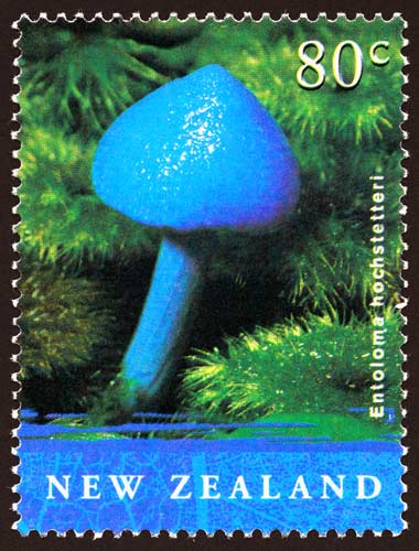 Mushroom on stamp 
