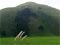 Whiria mountain