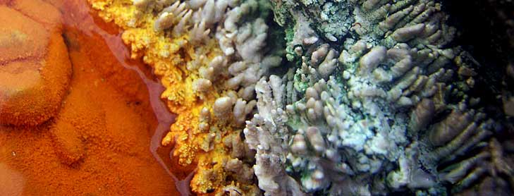 Colourful crystal formations by water