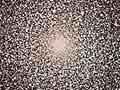 47 Tucanae