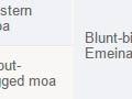 Moa family groupings, 2009