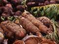 Coconuts and taro, Tongan market, 2002