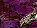 Microscopic view of tuhualite (2nd of 2)