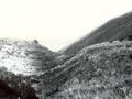 Offset along the Awatere Fault 