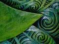 Māori designs (1st of 2)