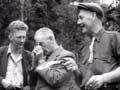 Video: Waipoua kauri forest
