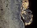 Black smoker hydrothermal chimney (1st of 2)