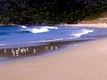 New Zealand’s varied coastline (1st of 3)