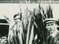 Flax workers