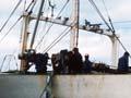 Japanese tuna boats