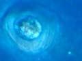 Electric ray
