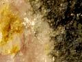 Specimen containing akatoreite (2nd of 2)