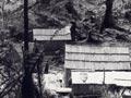 Shanties near Pūhoi (2nd of 3)
