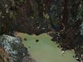 Inside White Island crater 