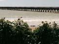 Tolaga Bay wharf