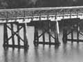 Mokoia pā in 1899