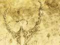 Rock drawings