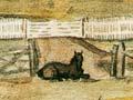 Westmacott family farm