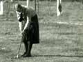 Interactive: Golf at Lake Tekapo