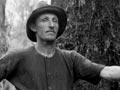 Logging the Forty Mile Bush