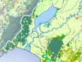 Interactive: Vegetation map