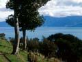 Palliser Bay