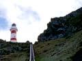 Cape Palliser lighthouse