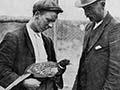 Interactive: Acclimatisation Society aviary