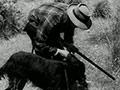 Video: Hunting with dogs