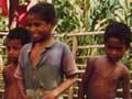 Dallas Roy, East Timor