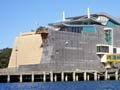 Te Papa