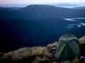 Field Peak