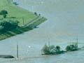 Hutt River in flood