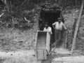 Terawhiti gold mine