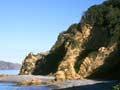 Mākaro (Ward Island)