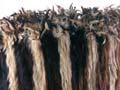 Dog-skin cloak (1st of 2)