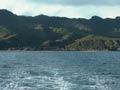 Hauturu (Little Barrier Island)