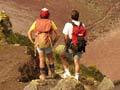 The Tarawera rift 