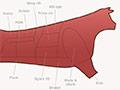 Diagram of a steer showing where the various meat cuts come from on the animal
