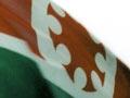 Te Mana Motuhake o Tūhoe flag (2nd of 2)
