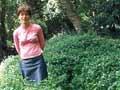 Tradescantia