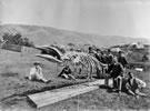 Scientists alongside a whale skeleton, about 1874