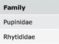 Land mollusc families